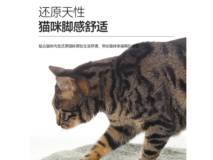 矿砂猫砂买什么样的好,猫砂