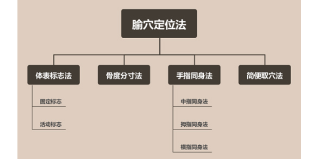 新疆动态反映中医针刺触觉仿真实训平台,中医针刺触觉仿真实训平台