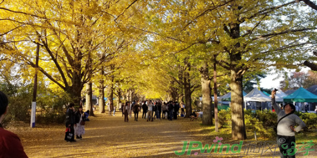 江苏东京留学日语,留学