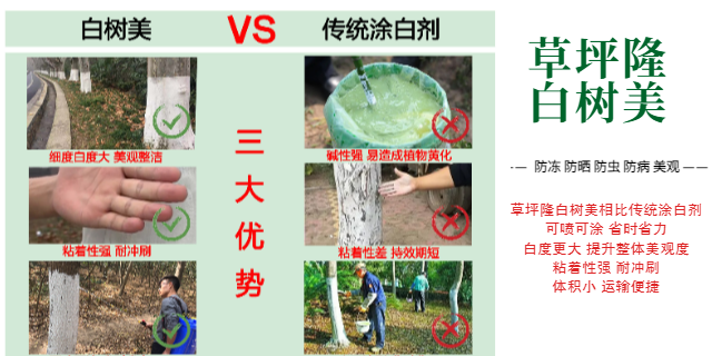 蚌埠光皮树涂白剂使用技巧,涂白剂