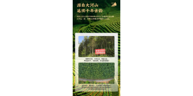 汕尾天然沉香茶报价,沉香茶